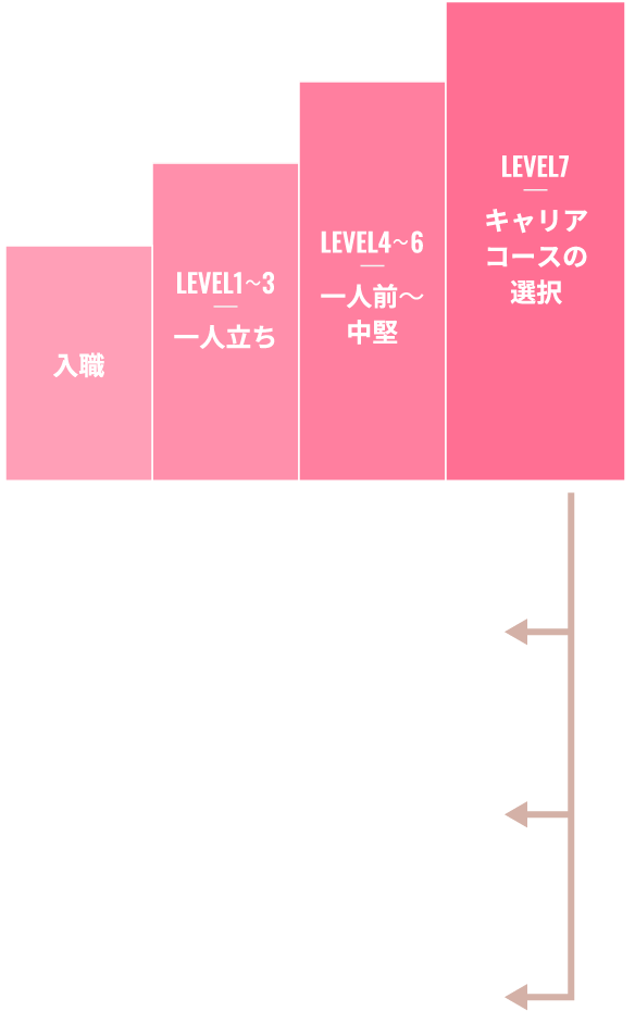 看護師のキャリアラダー