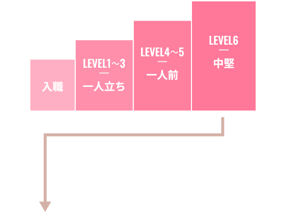 相談員・ソーシャルワーカーのキャリアラダー